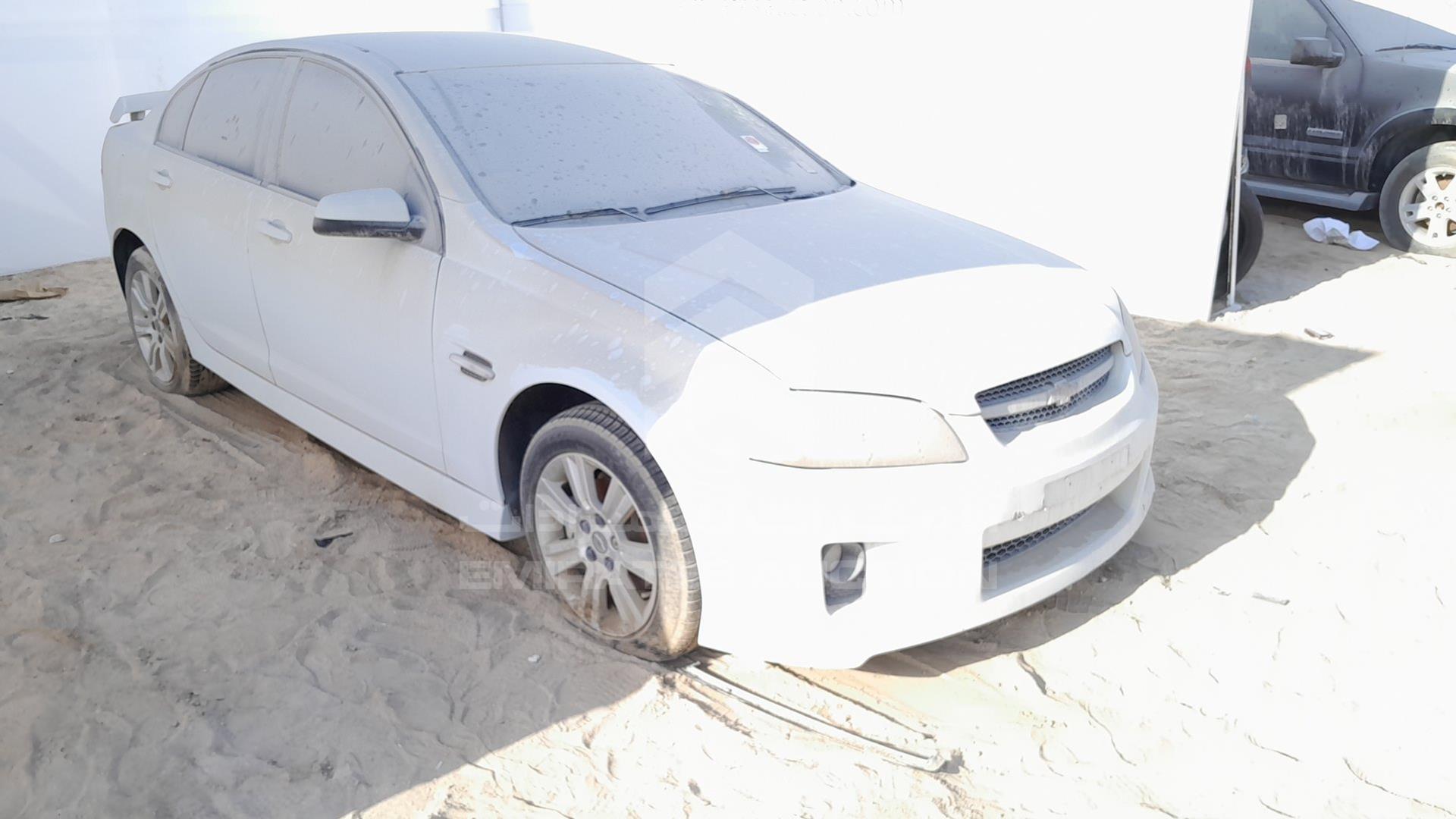 2009 CHEVROLET LUMINA VIN: 6G1EK52B19L181192