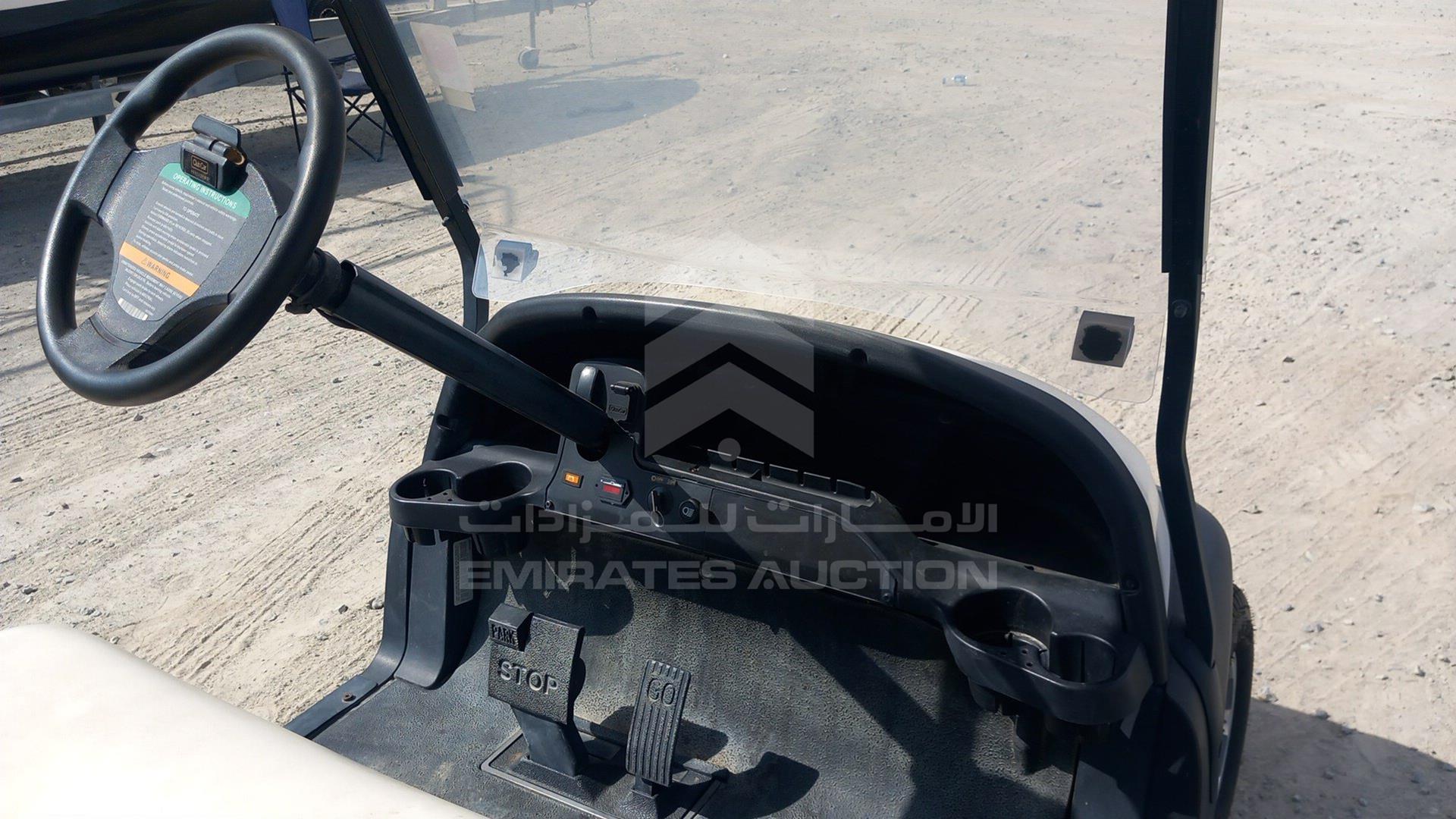 0 GOLF CART ELECTRIC VIN: JE1746832929