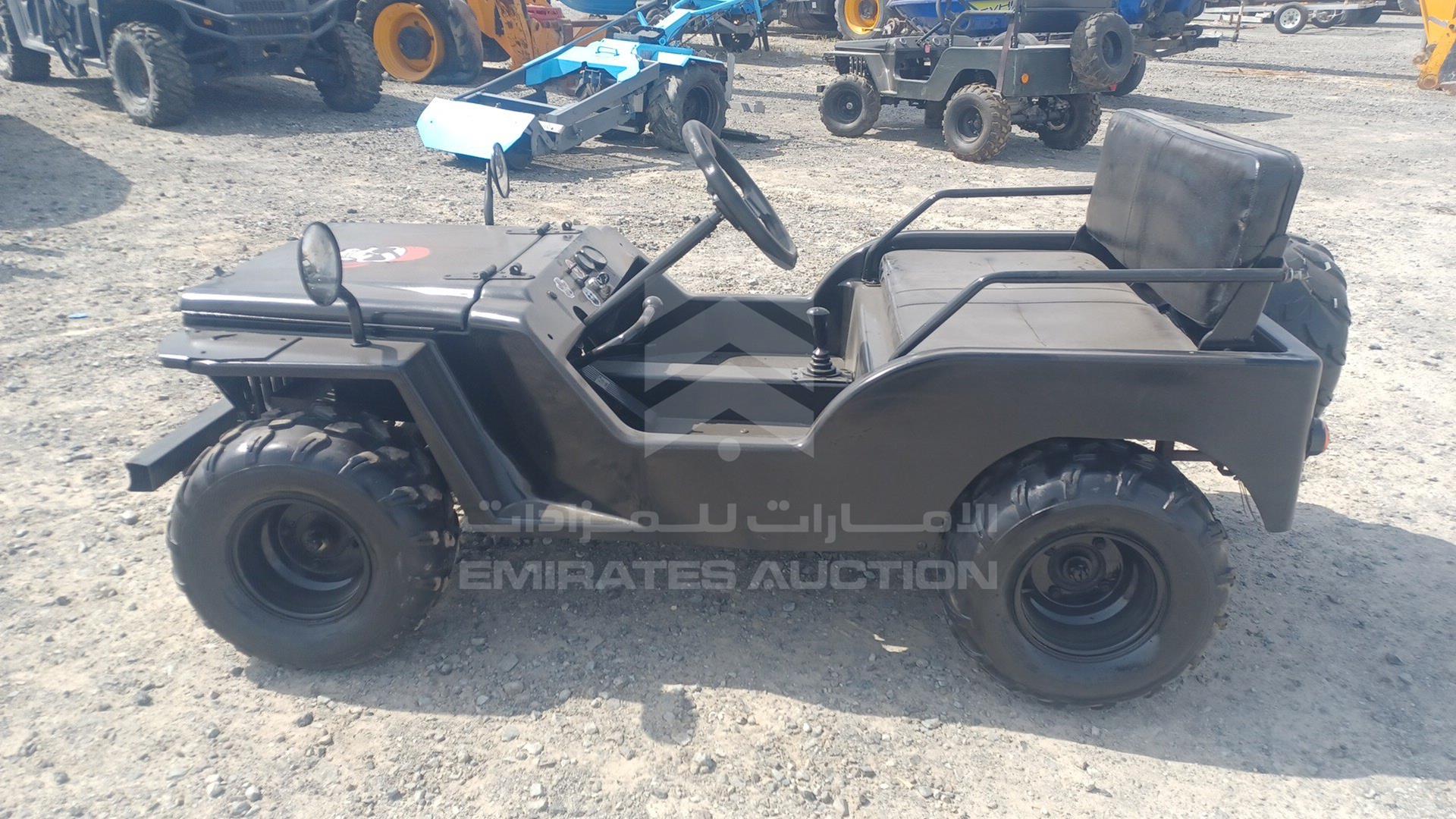 0 BUGGY --- VIN: ZB8304563CA251
