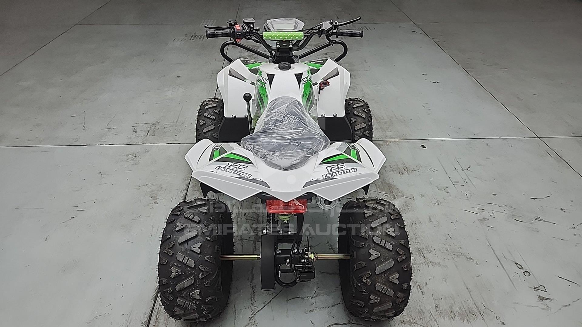2025 ATV --- VIN: LSA708R2024100089