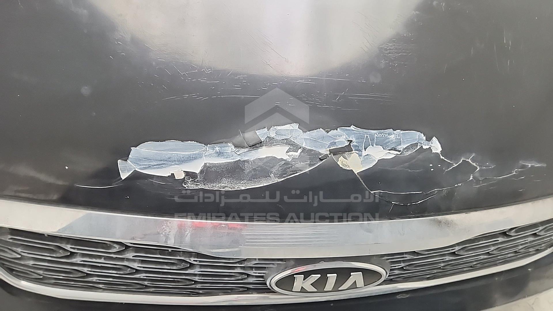 2009 KIA CARNIVAL VIN: KNAMB763296299018