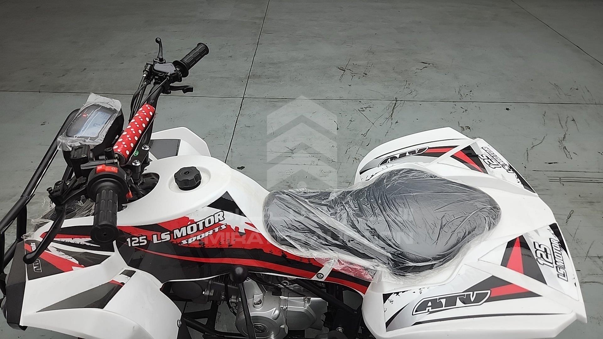 2025 ATV --- VIN: LSA708R2024100075