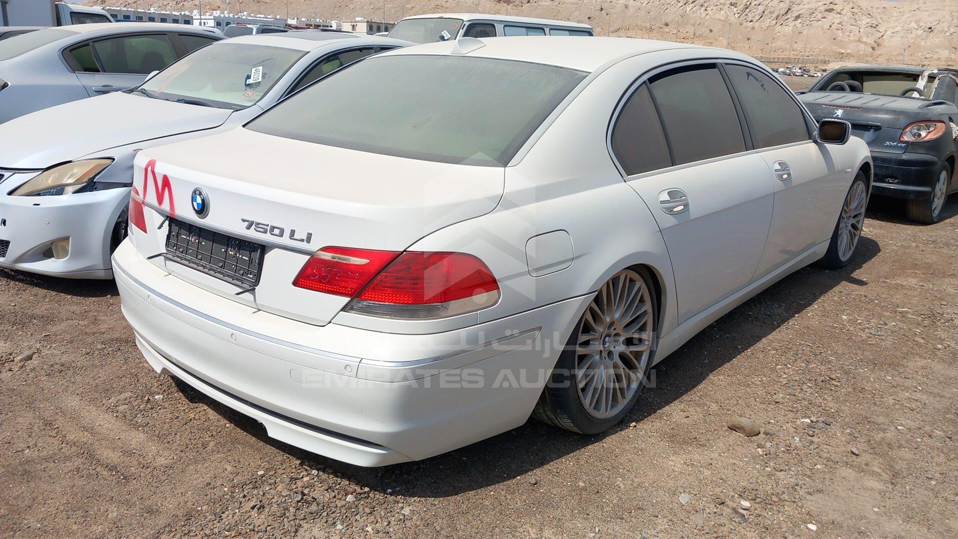 0 BMW 750LI VIN: WBAHN81076DT18598
