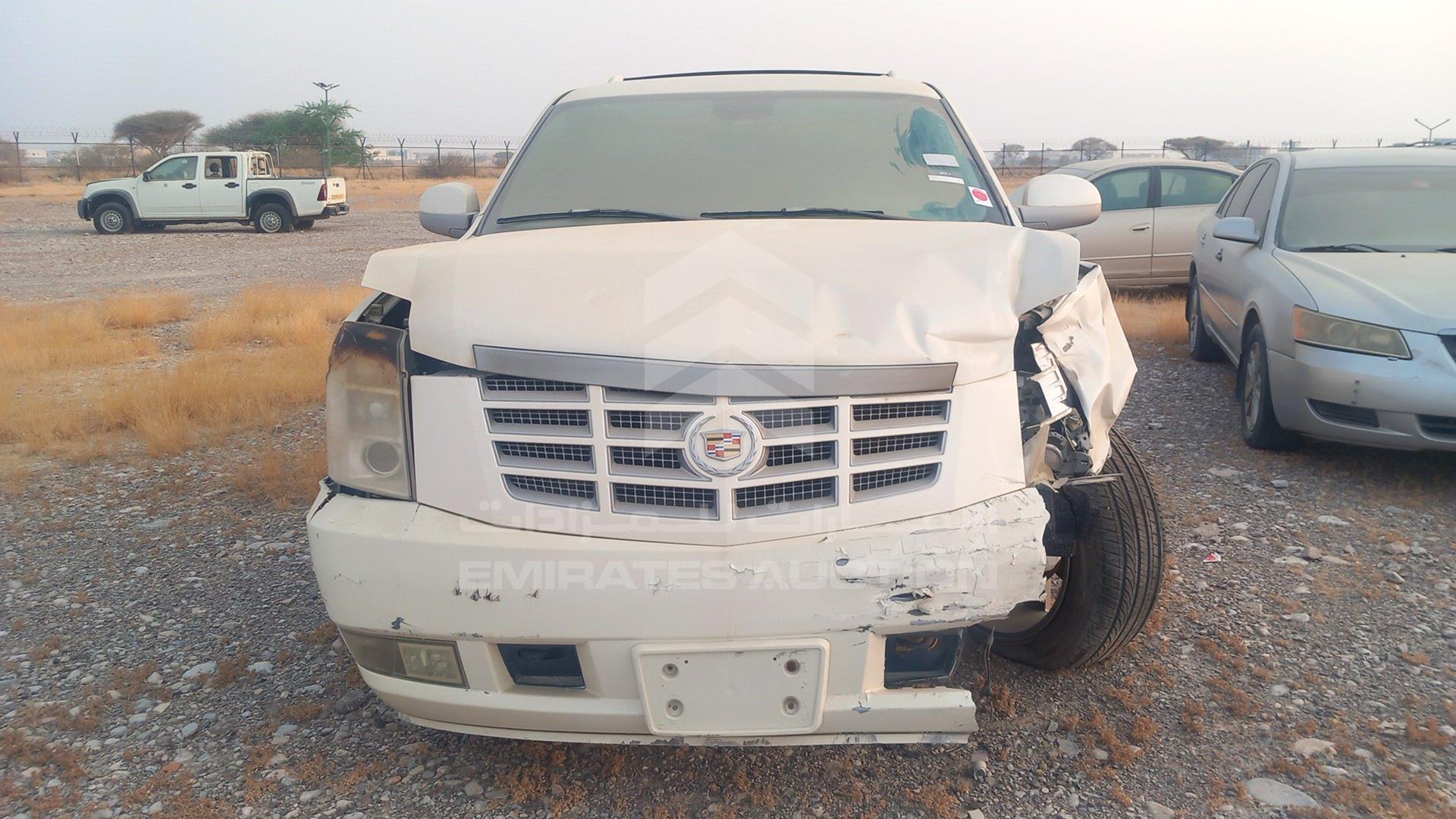 2007 CADILLAC ESCALADE VIN: 1GYFK63807R311985