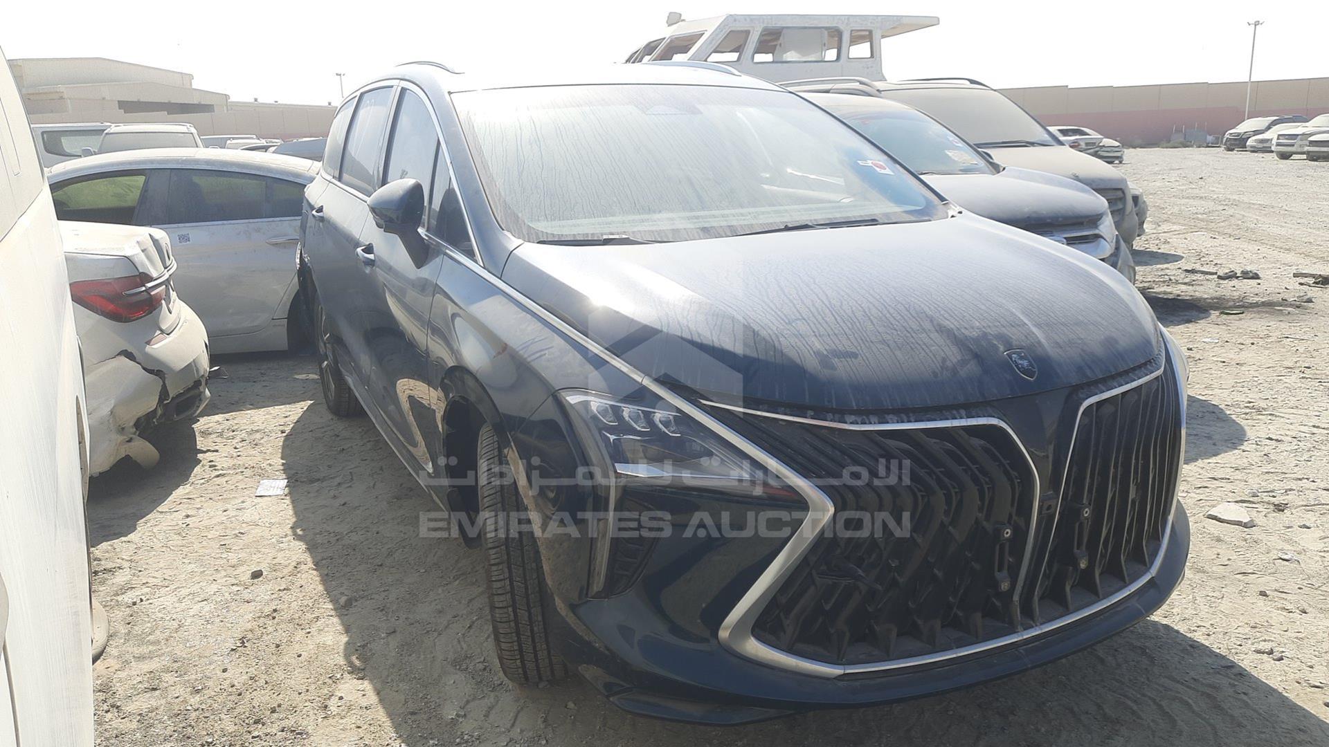 2024 DONG FENG FORTHING U VIN: LMXA14AF6RZ354457