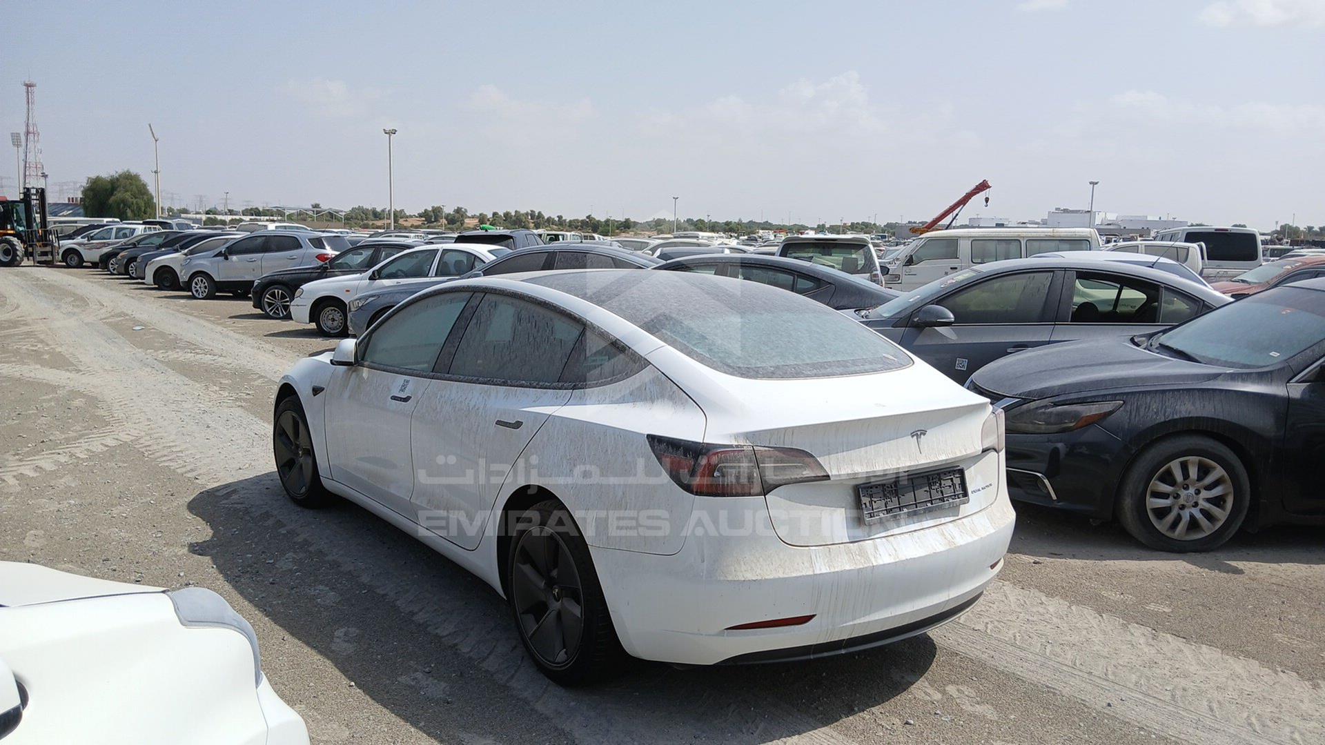 2023 TESLA MODEL 3 VIN: LRW3E7EK4PC686227