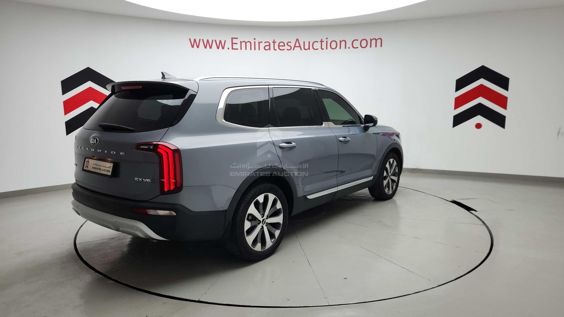 2020 KIA TELLURIDE VIN: 5XXP381C2LG047840