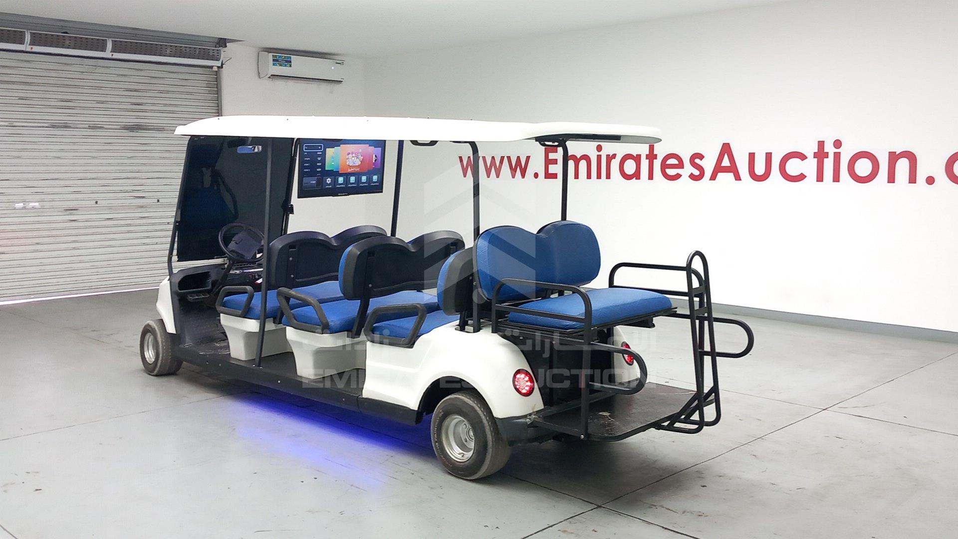 2021 GOLF CART ELECTRIC VIN: L4MCKDK47JA000207