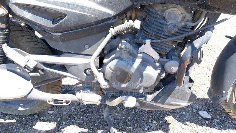 MD2A11CY1LCL75448 Auction: EmiratesAuction Lot: 406852 MD2A11CY1LCL75448 Bajaj PULSAR 150 2020 BLACK Photo 18