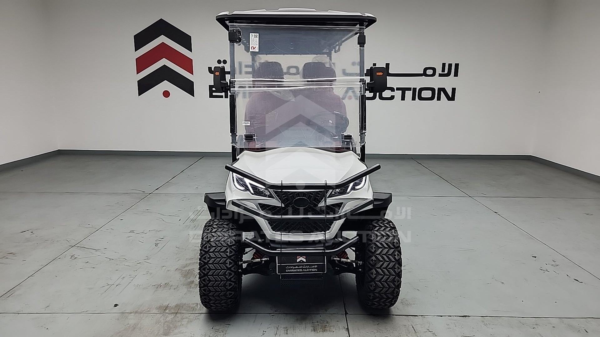 2025 GOLF CART ELECTRIC VIN: ZM24113