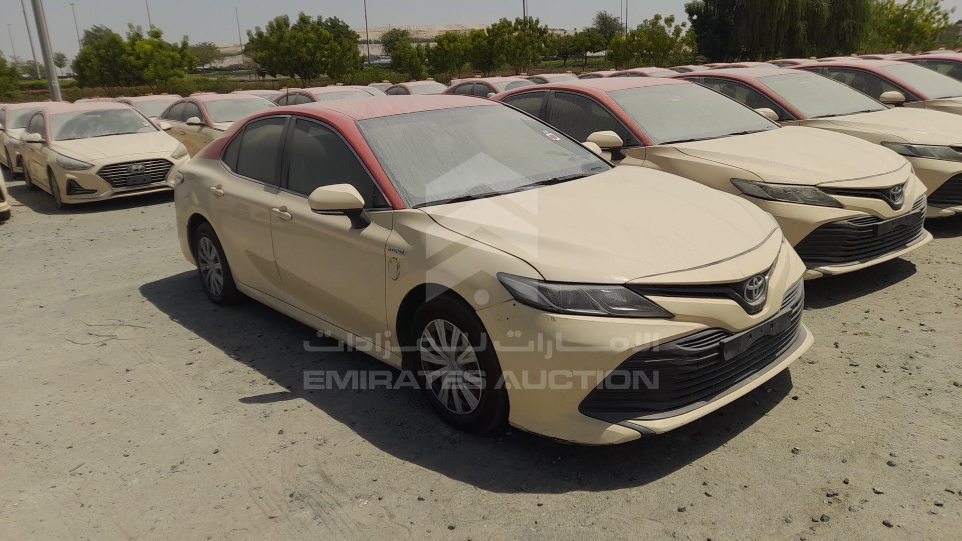 2019 TOYOTA CAMRY VIN: JTNB29HK5K3042173