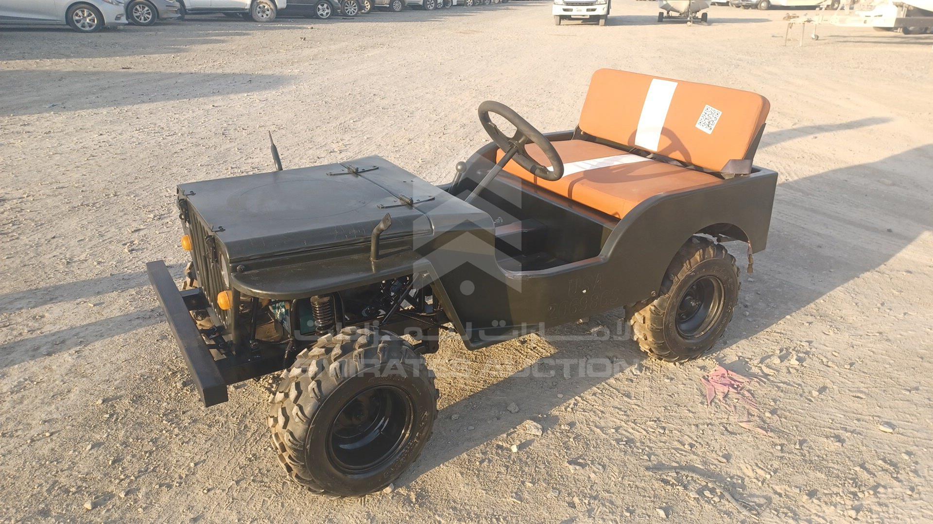 0 BUGGY --- VIN: L37AMKAC6GZ070015