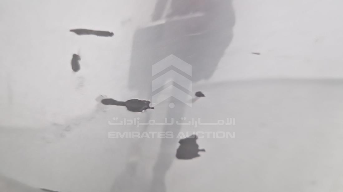 نيسان التيما 2019 — خدش — صورة 37