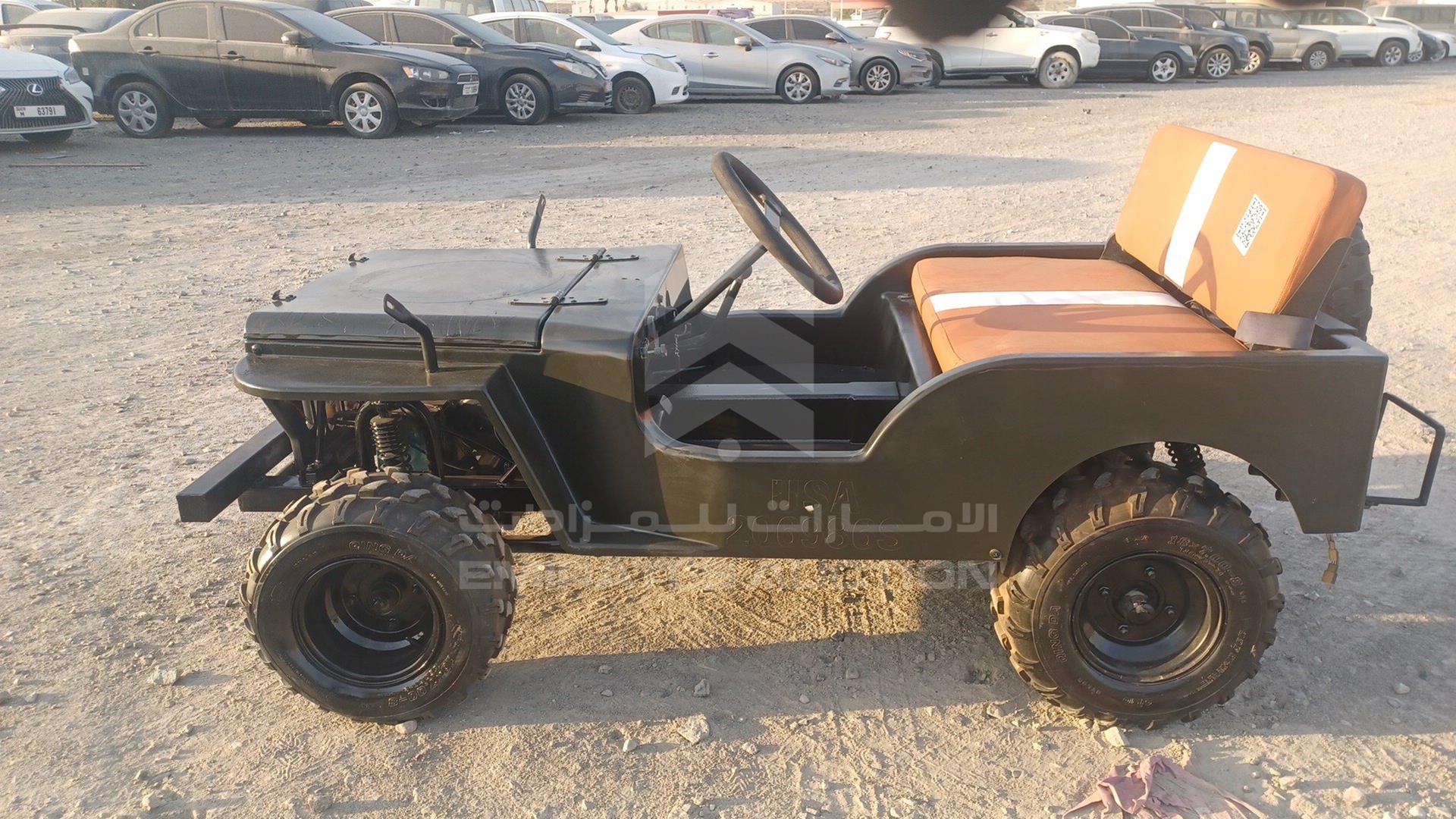 0 BUGGY --- VIN: L37AMKAC6GZ070015