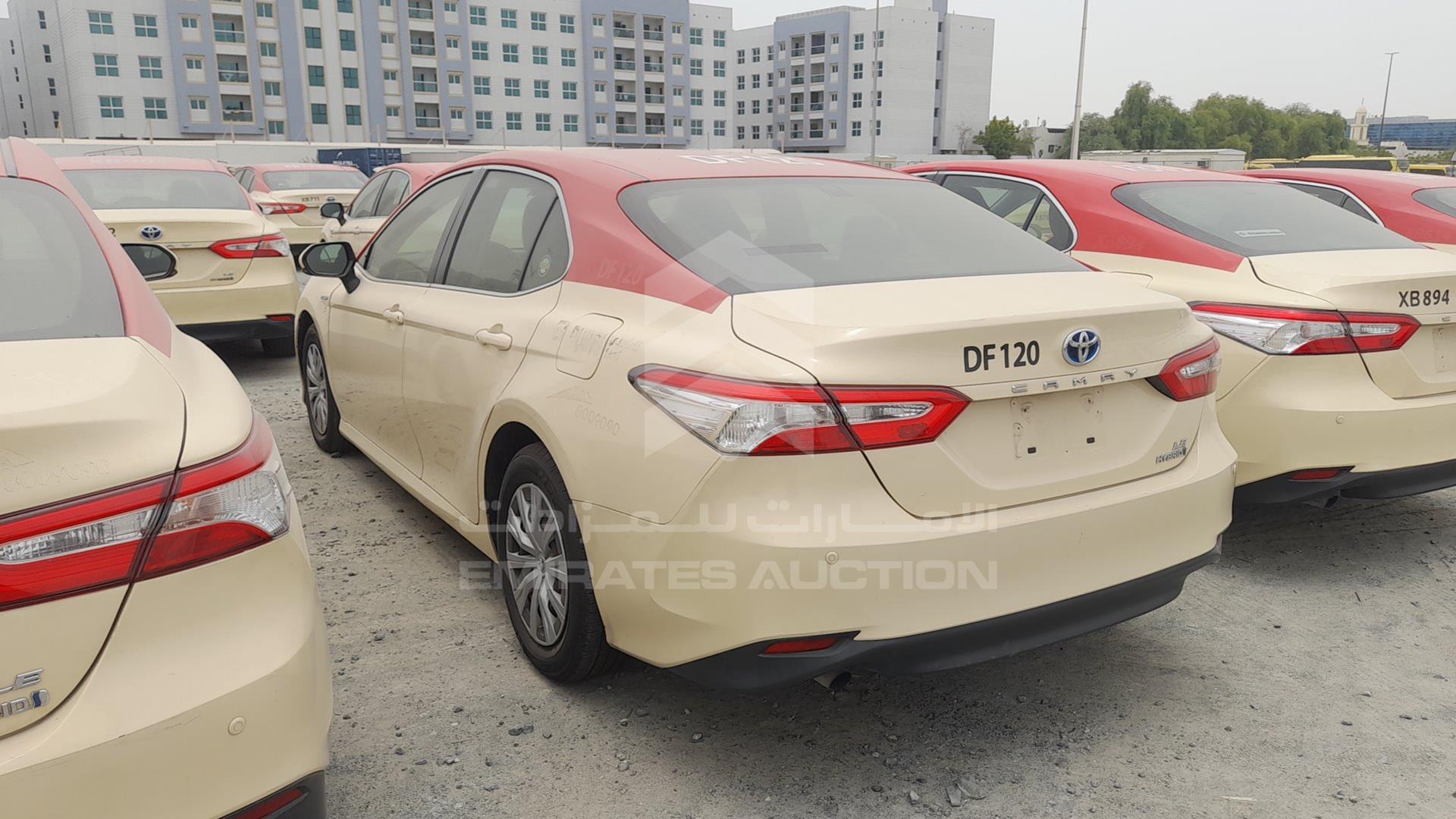 2019 TOYOTA CAMRY VIN: JTNB29HK2K3014492