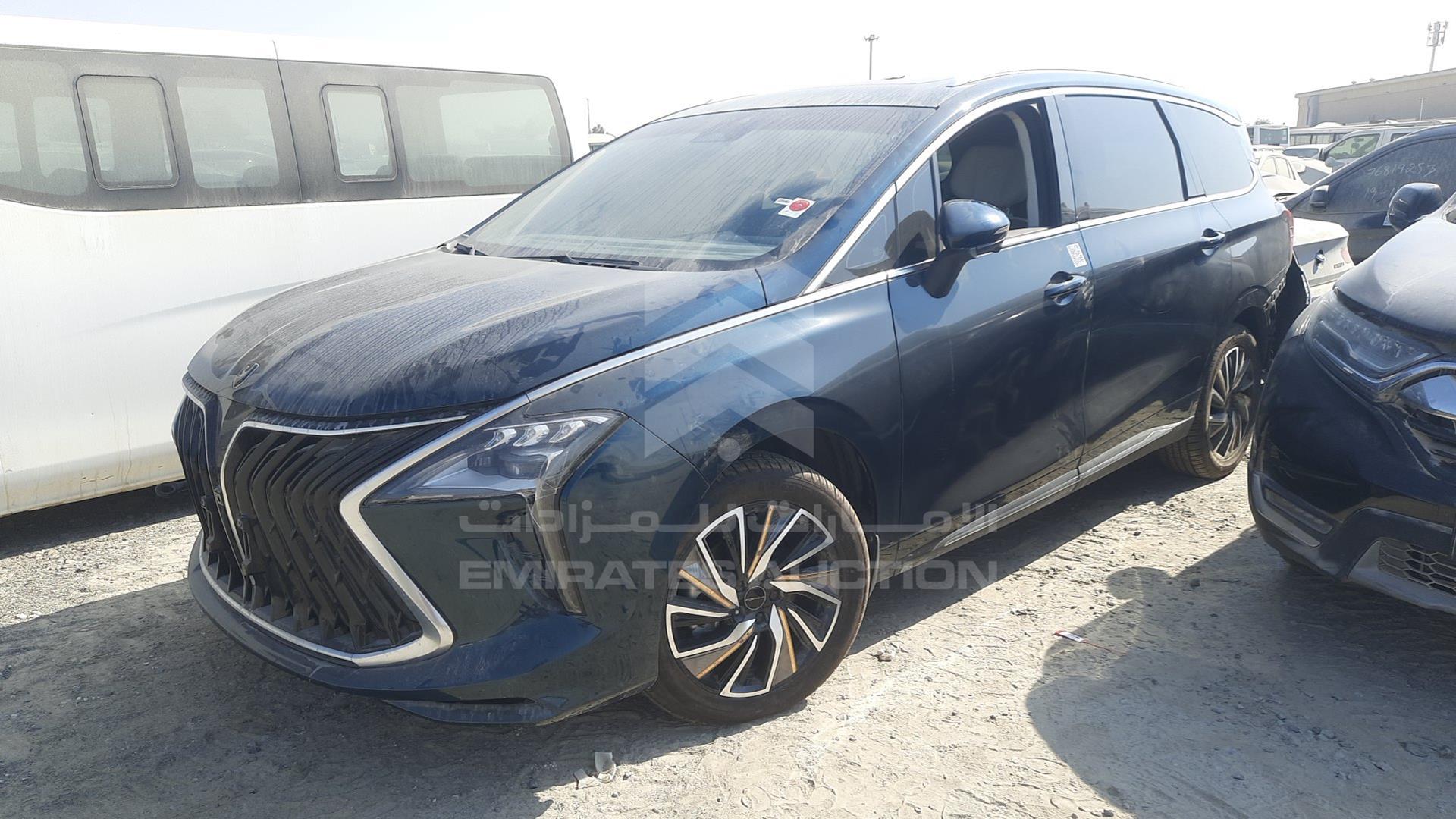 2024 DONG FENG FORTHING U VIN: LMXA14AF6RZ354457