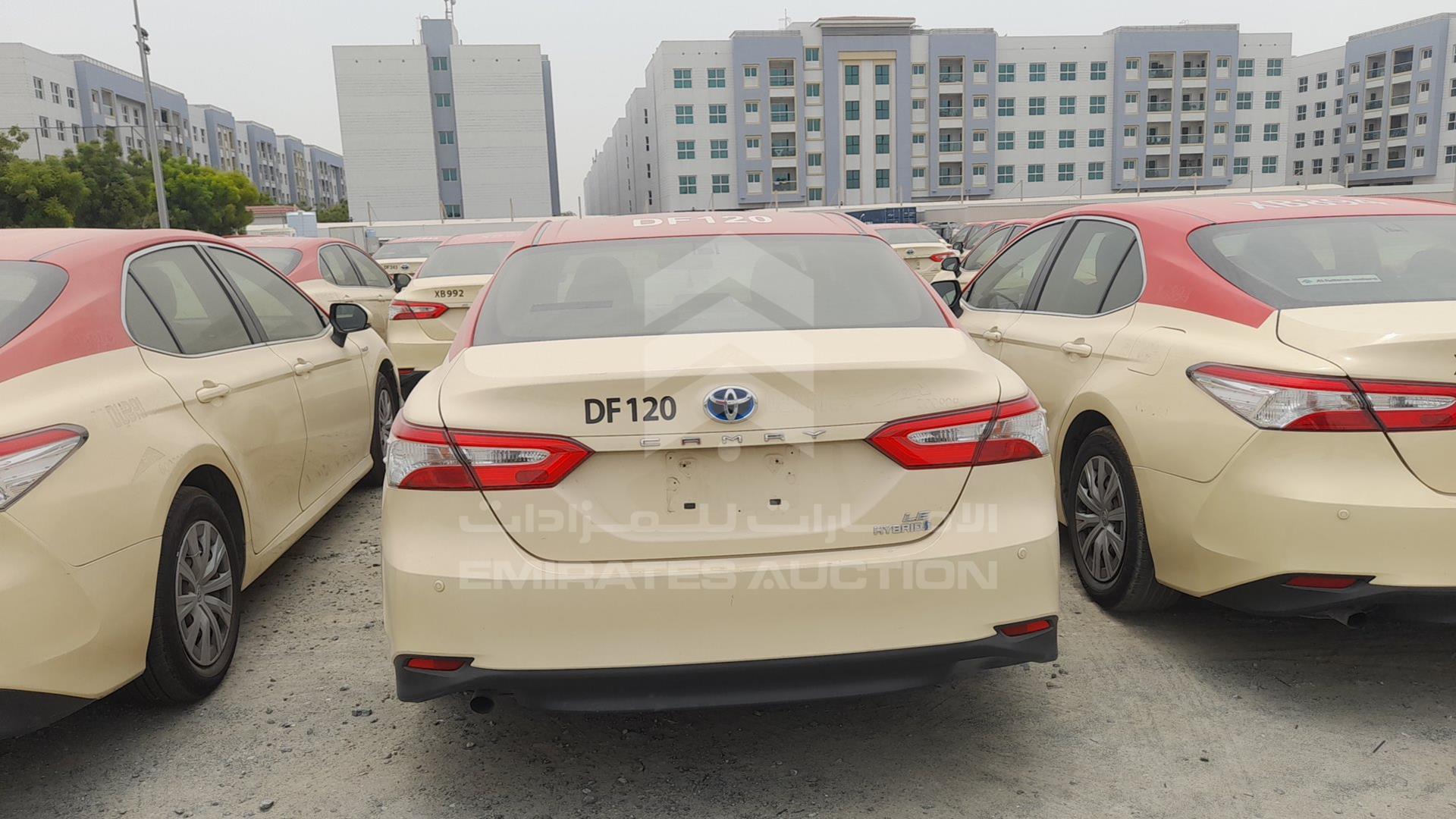 2019 TOYOTA CAMRY VIN: JTNB29HK2K3014492