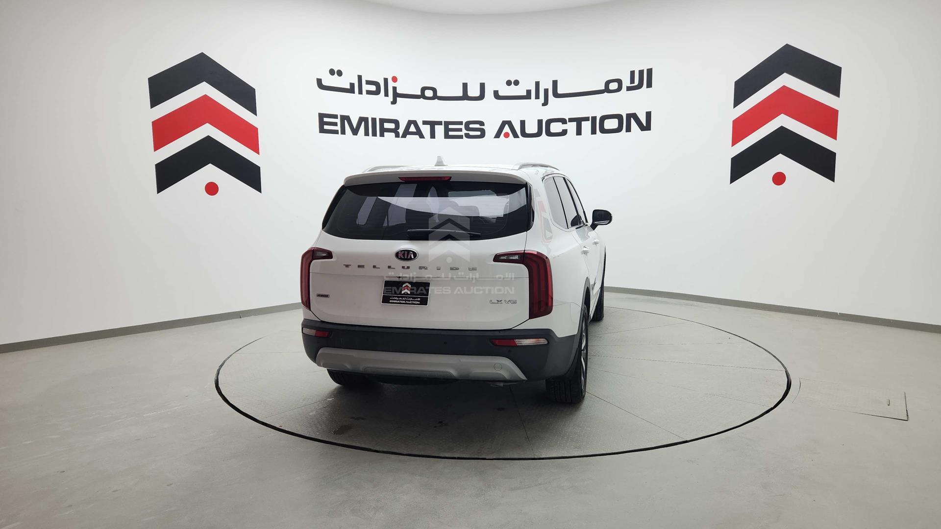 2020 KIA TELLURIDE VIN: 5XXP281CXLG081463
