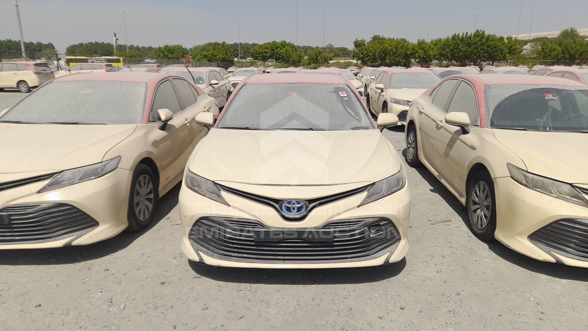 2019 TOYOTA CAMRY VIN: JTNB29HK9K3014716