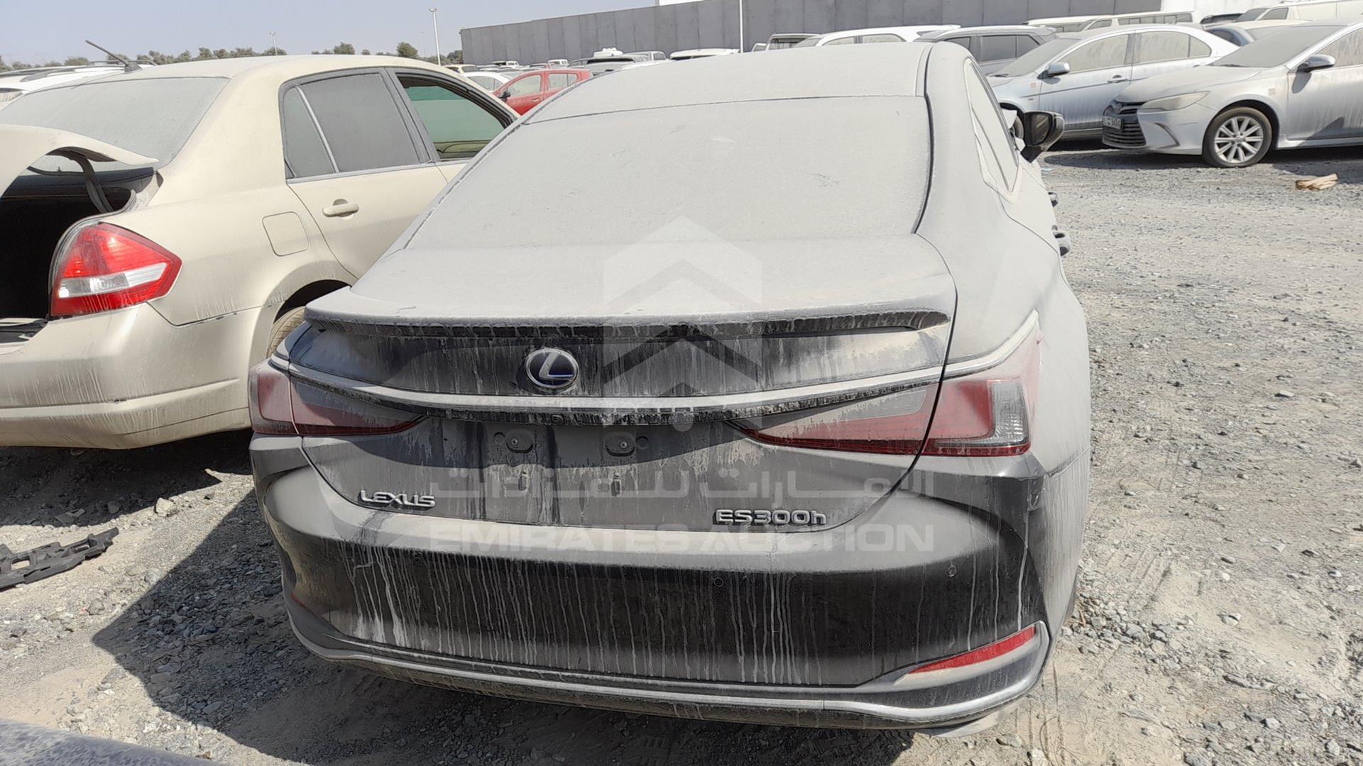 2020 LEXUS ES 300H VIN: JTHB21B19L2092439