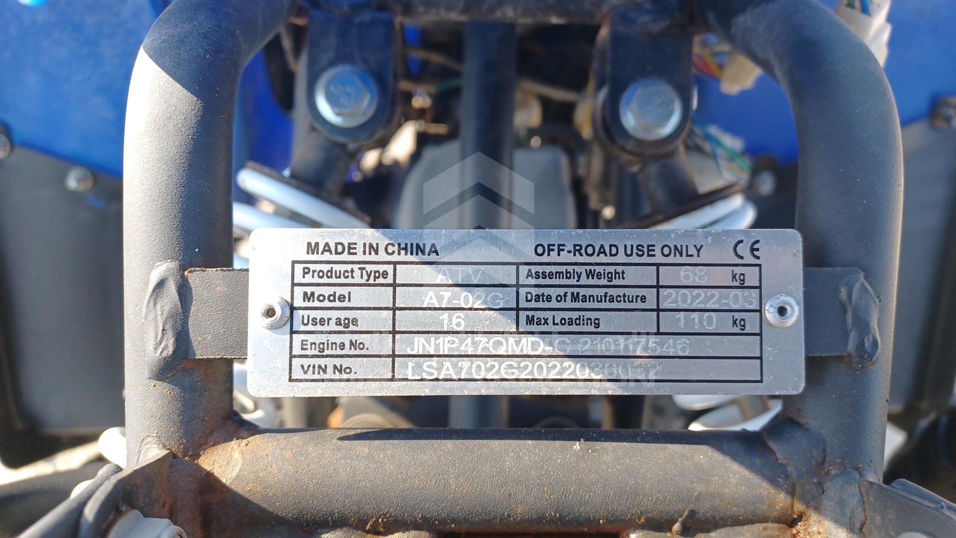 0 BUGGY --- VIN: LSA702G2022030032