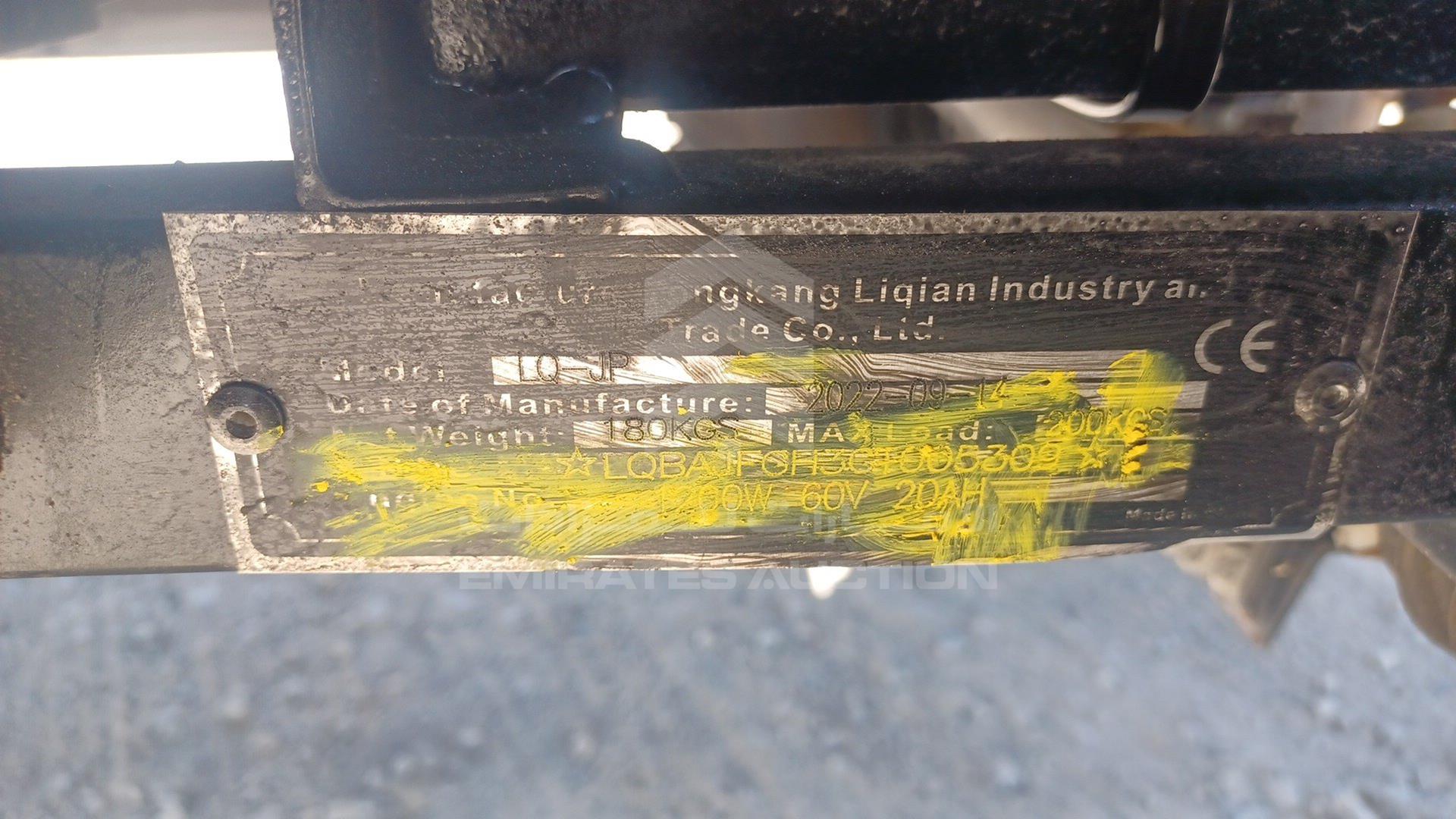 0 BUGGY --- VIN: LQBAJFGH3GT005309