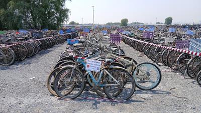  100 Bicycles