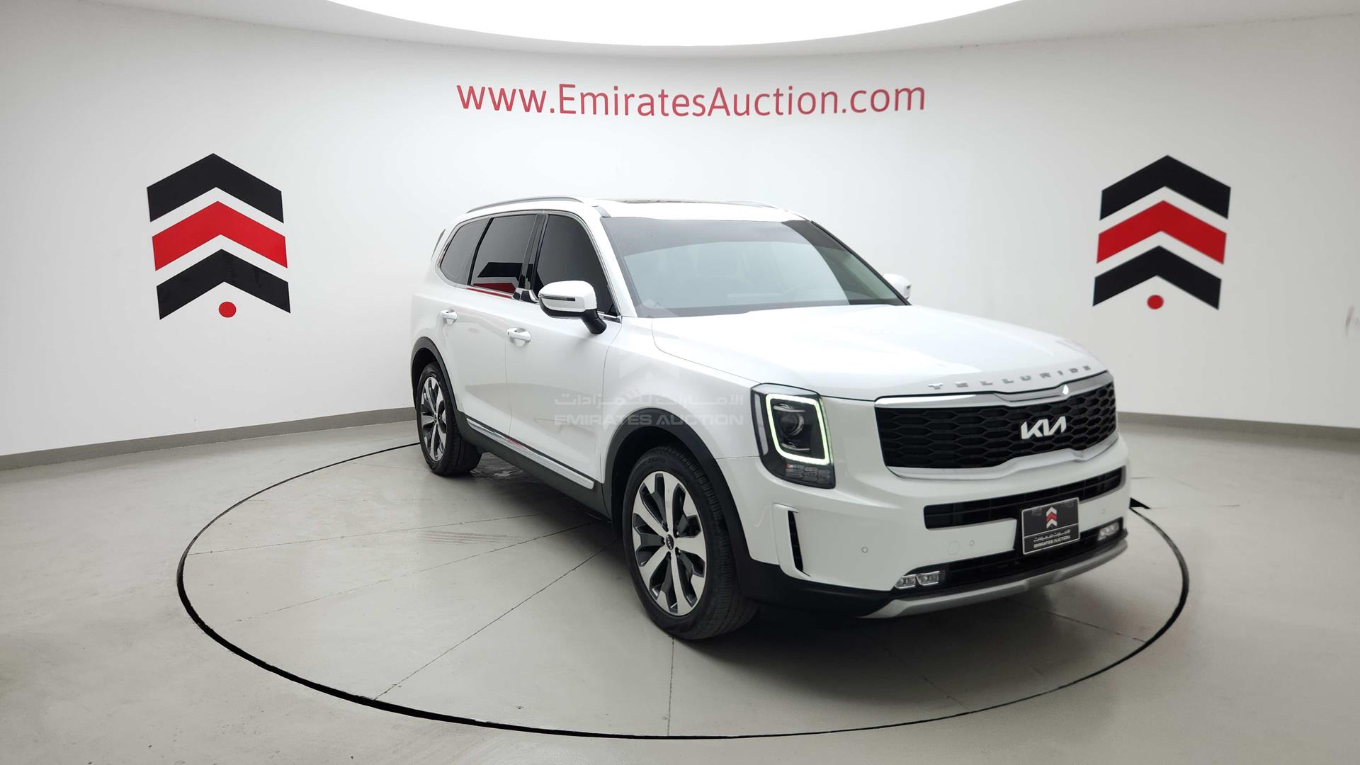2022 KIA TELLURIDE VIN: 5XXP381C7NG232128