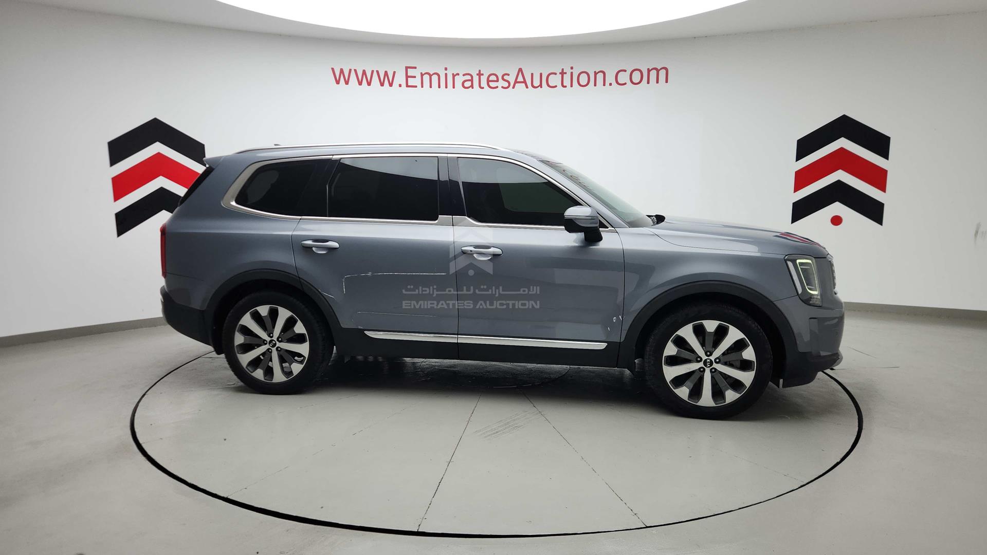 2020 KIA TELLURIDE VIN: 5XXP381C2LG047840