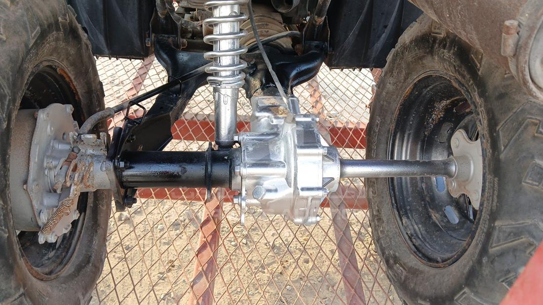 Buggy + Trolly — General — Photo 16
