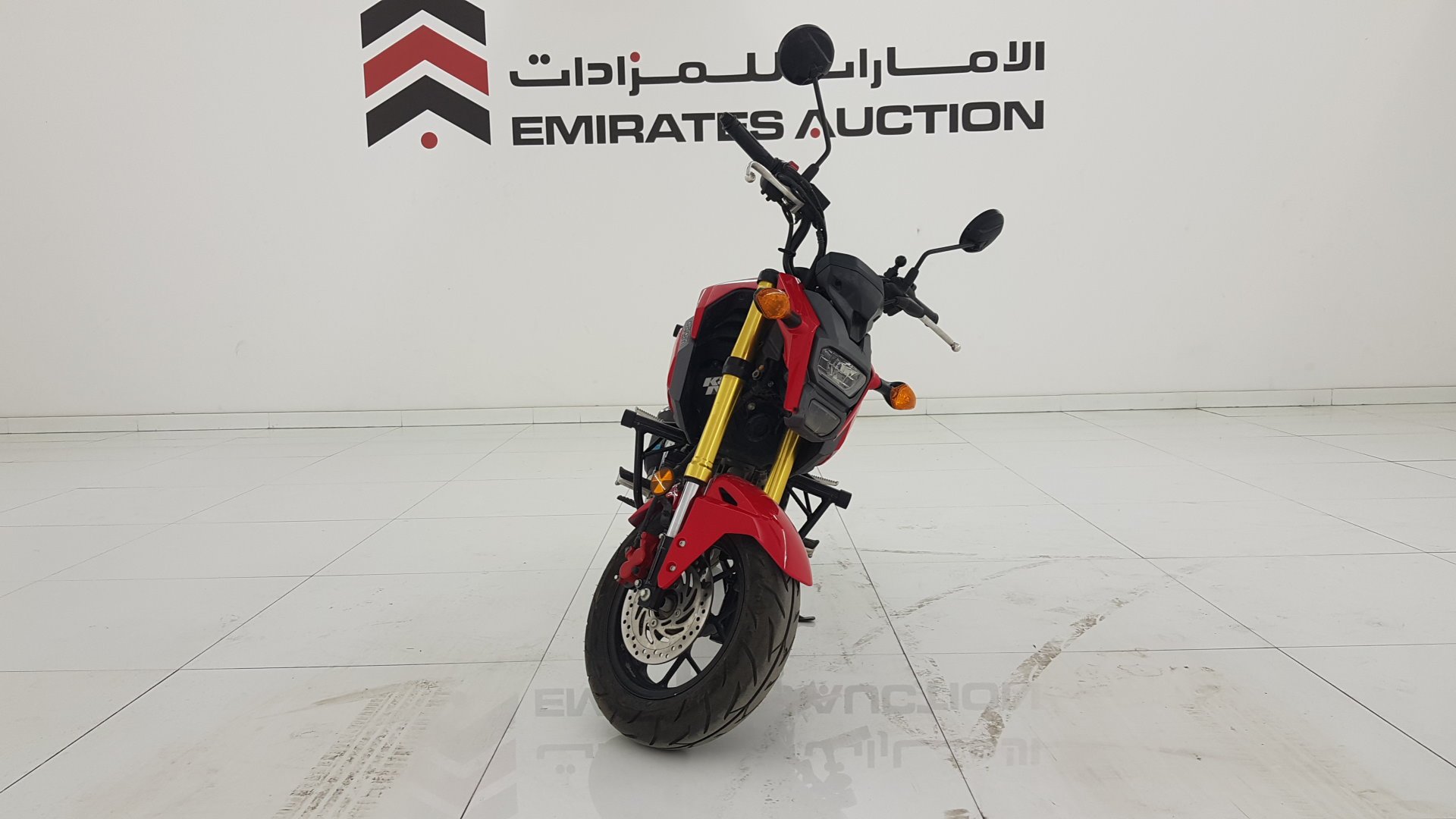 used honda grom for sale