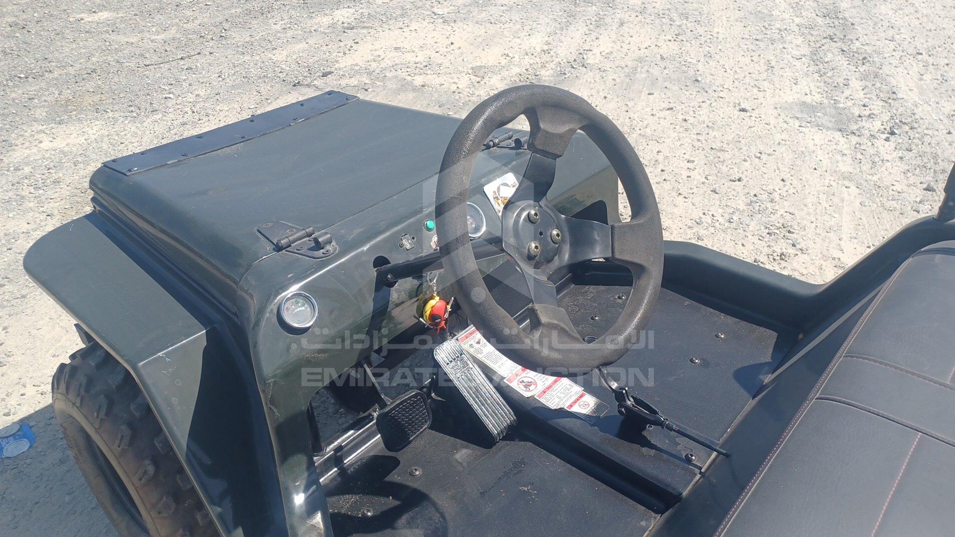 0 BUGGY --- VIN: LQBAJFGH3GT005309