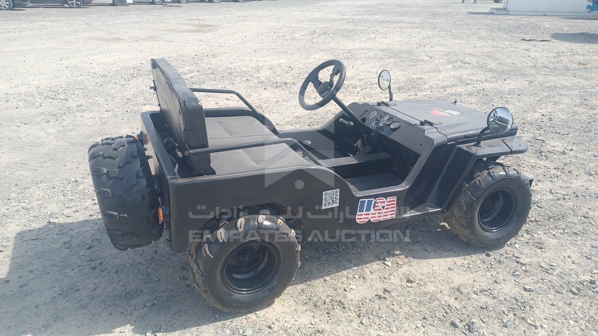 0 BUGGY --- VIN: ZB8304563CA251