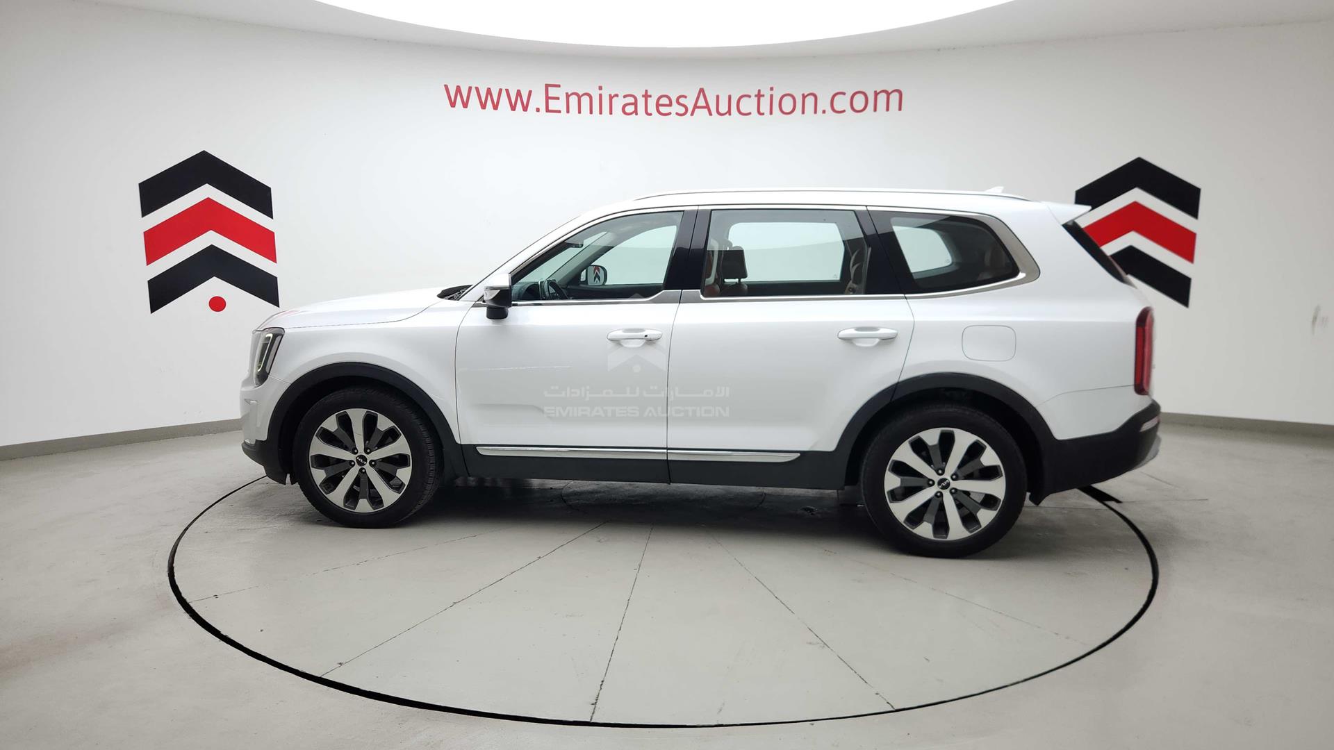 2022 KIA TELLURIDE VIN: 5XXP281C8NG281938