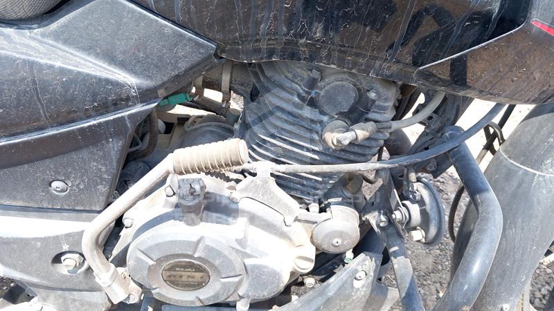 MD2A11CX1MCF13999 Auction: EmiratesAuction Lot: 406927 MD2A11CX1MCF13999 Bajaj Pulsar 0 BLACK Photo 16