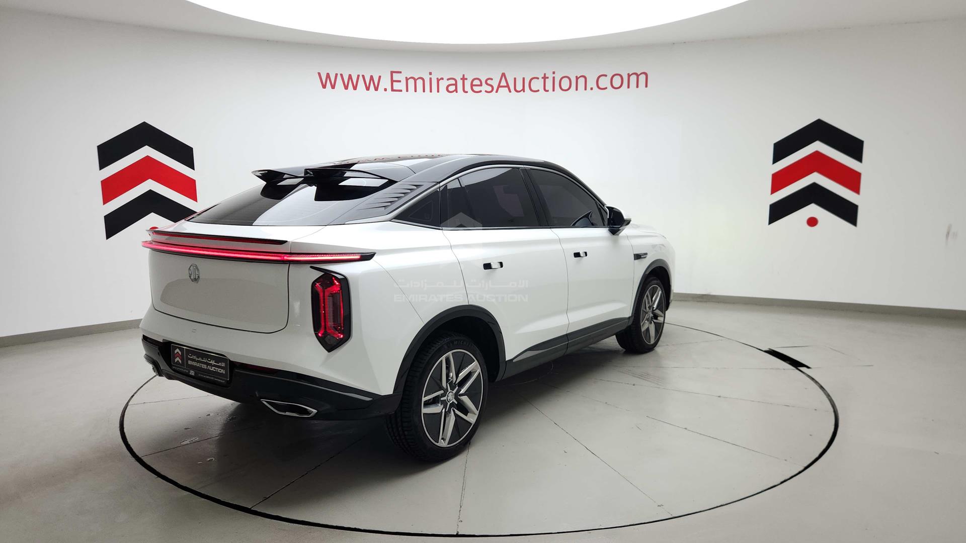 2024 MG WHALE VIN: LSJA24W9XRS042204