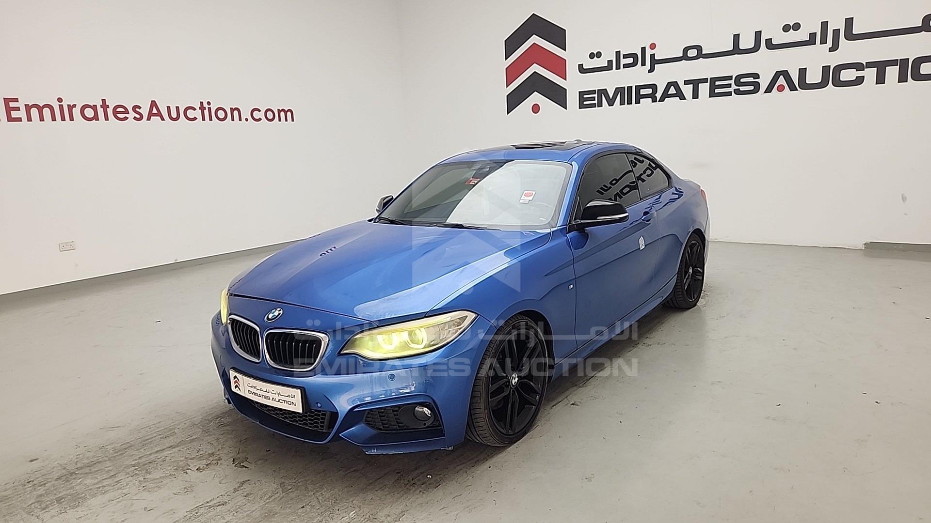 2014 BMW 220 VIN: WBA1J1104EVW83687