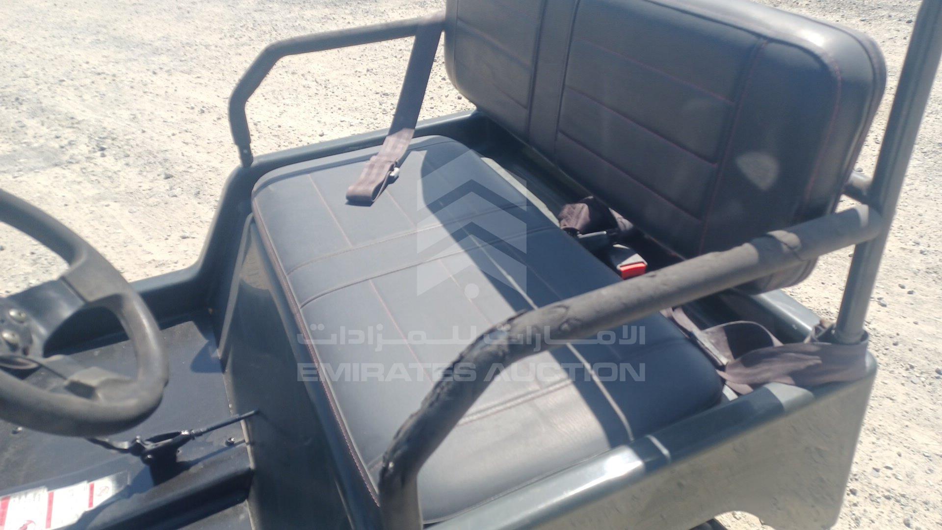 0 BUGGY --- VIN: LQBAJFGH3GT005309