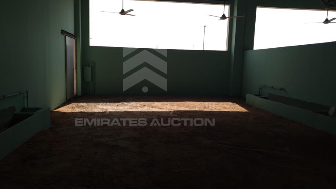 Stockyard No.34 for rent in Al Wathba area for sale in UAE 433304