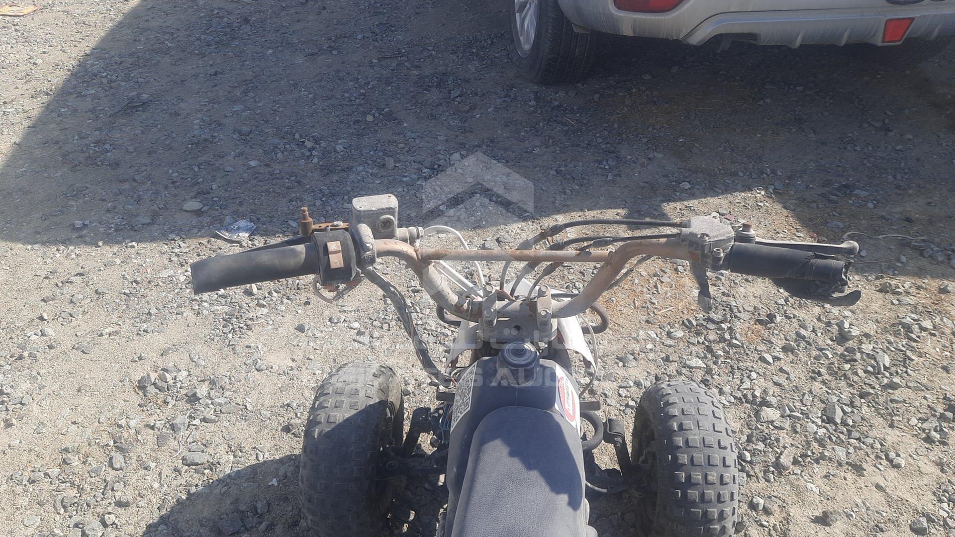 0 ATV --- VIN: L08AGHA10D1000385