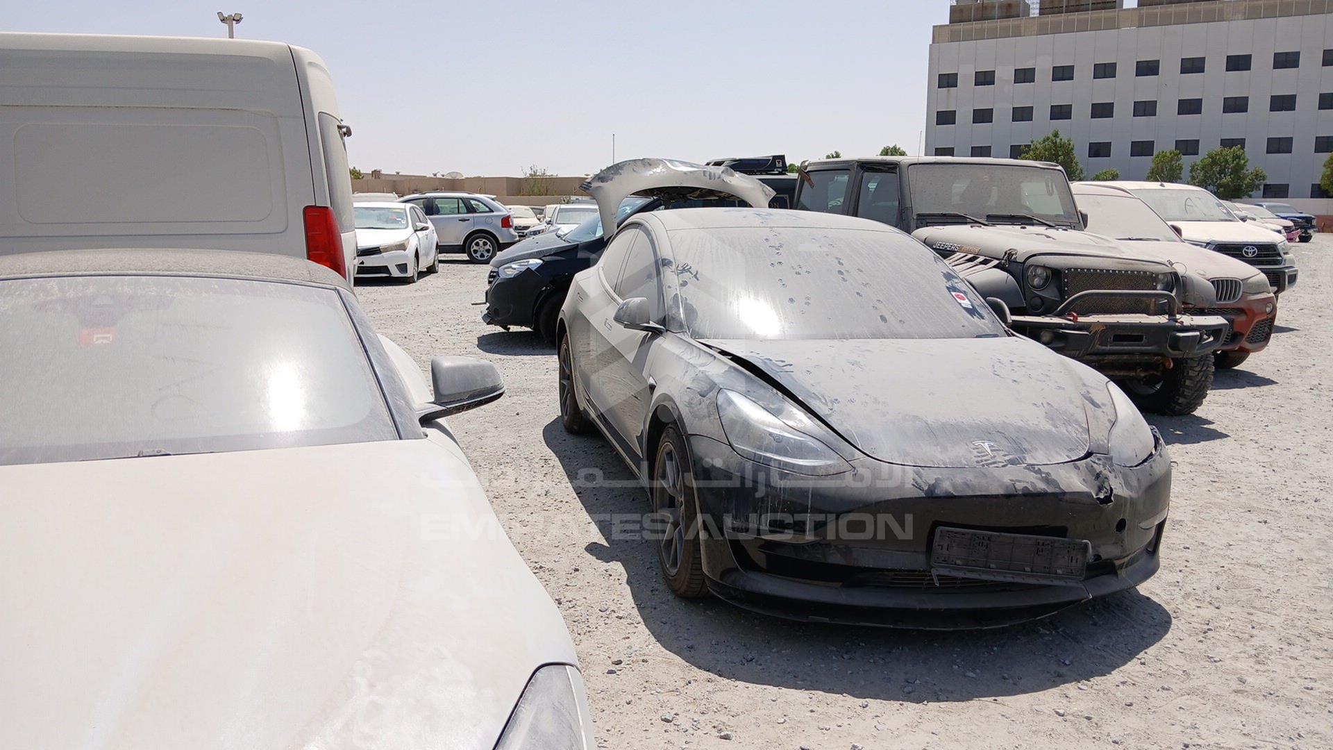 2023 TESLA MODEL 3 VIN: LRW3E7EK9PC686613