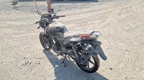 2021 Bajaj Pulsar — Rear Left Angle — Photo 6 — Thumbnail