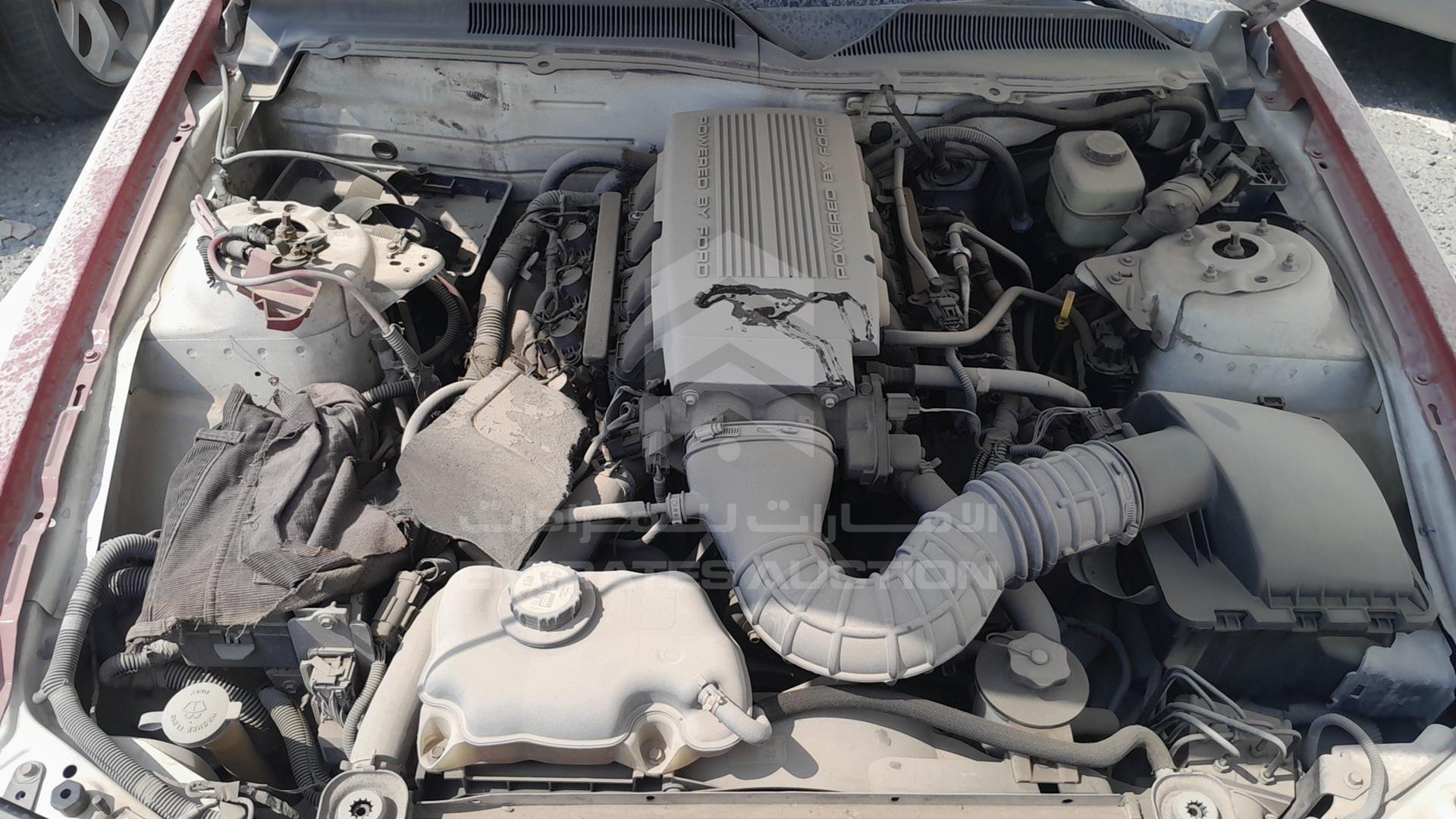 2005 FORD MUSTANG VIN: 1ZVHT82H155131683