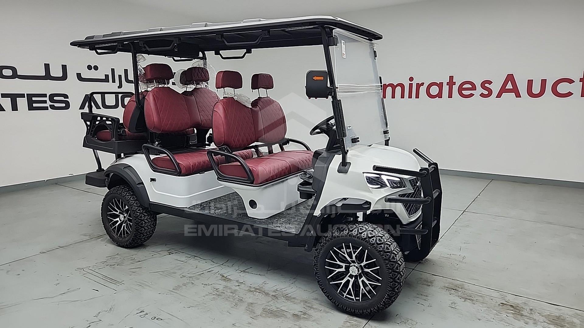2025 GOLF CART ELECTRIC VIN: ZM24113