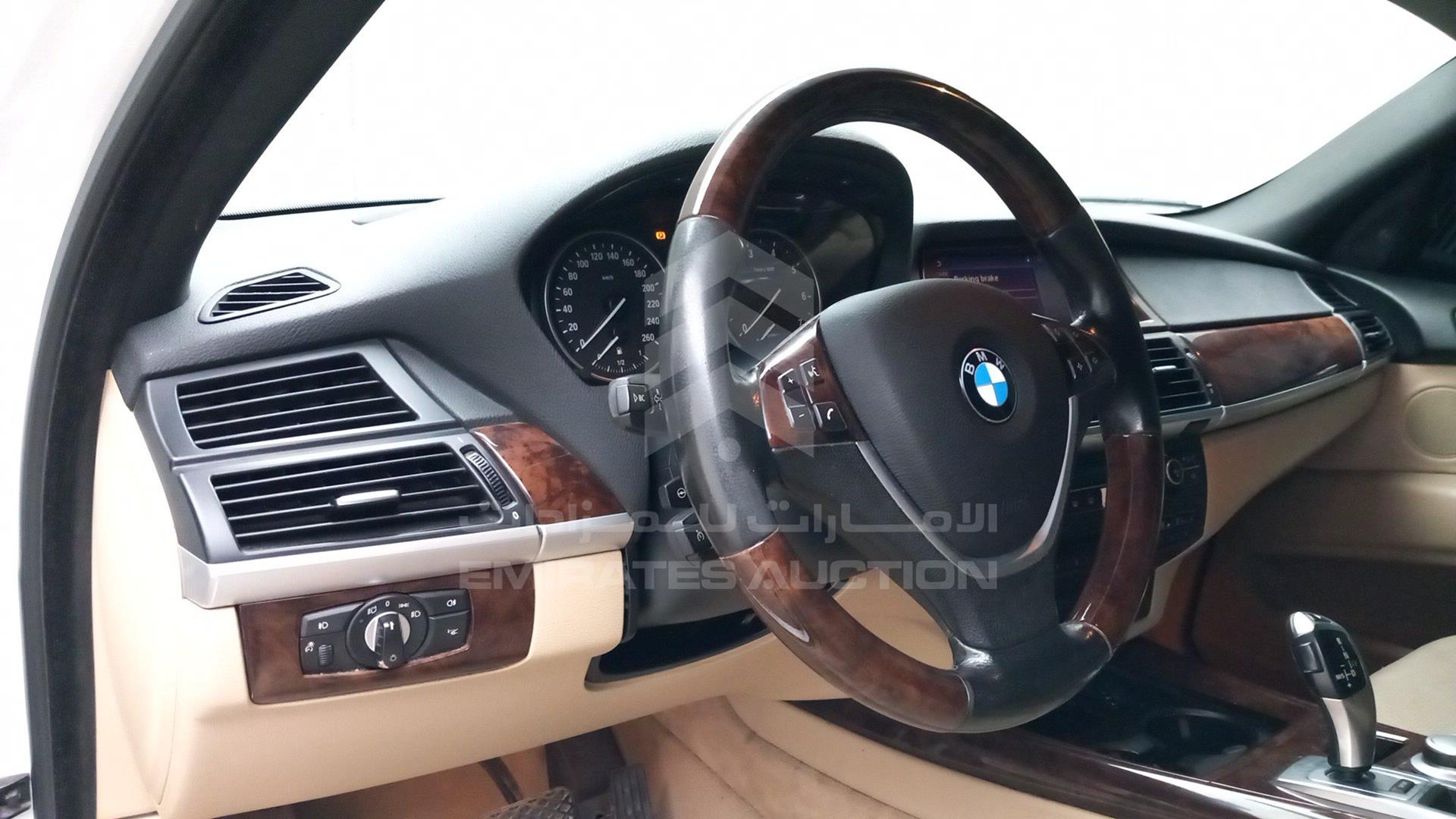 2009 BMW X5 VIN: WBAFE81019L094231
