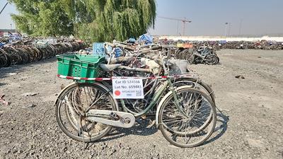  100 Bicycles