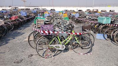  100 Bicycles