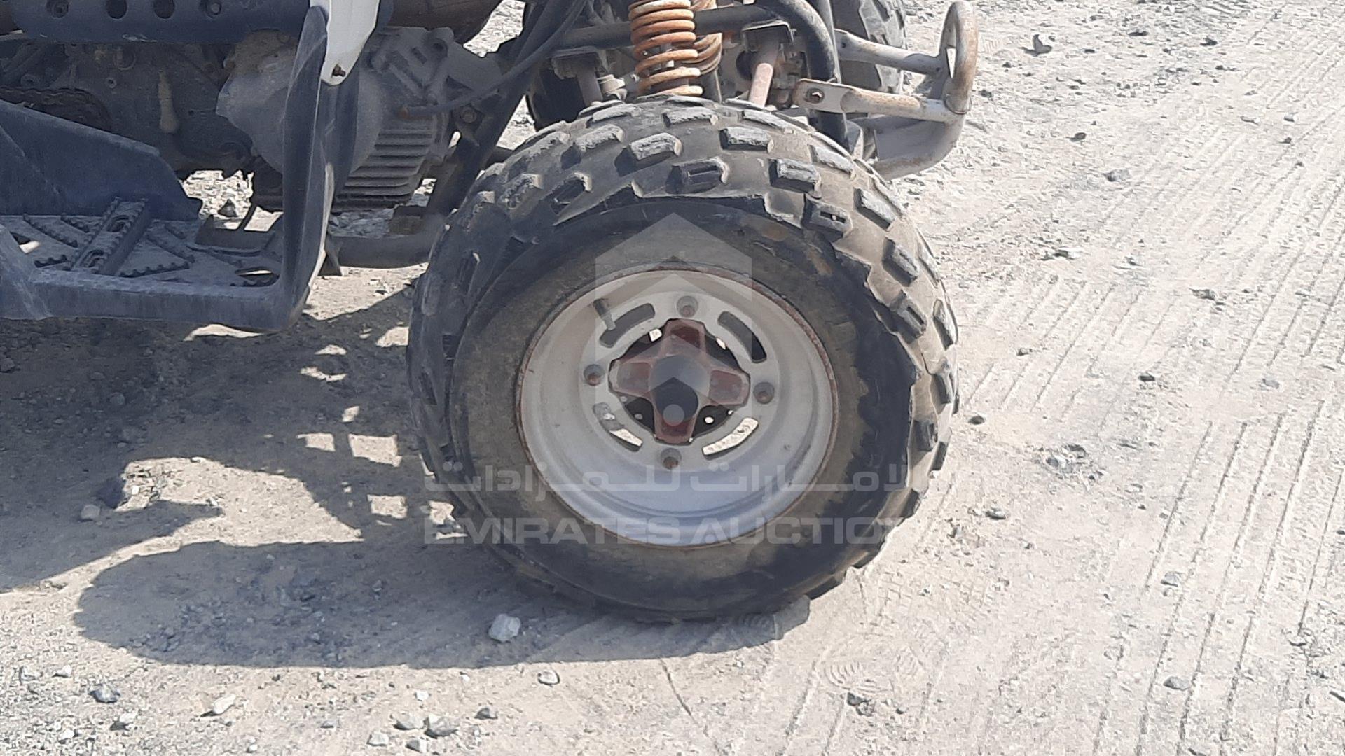 0 ATV --- VIN: RF3AT18G06TB00800
