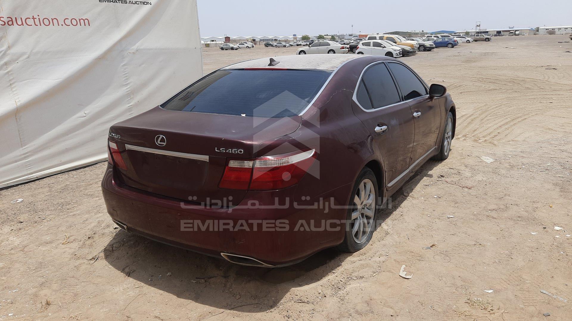 2009 LEXUS LS 460 VIN: JTHBL46F995089164