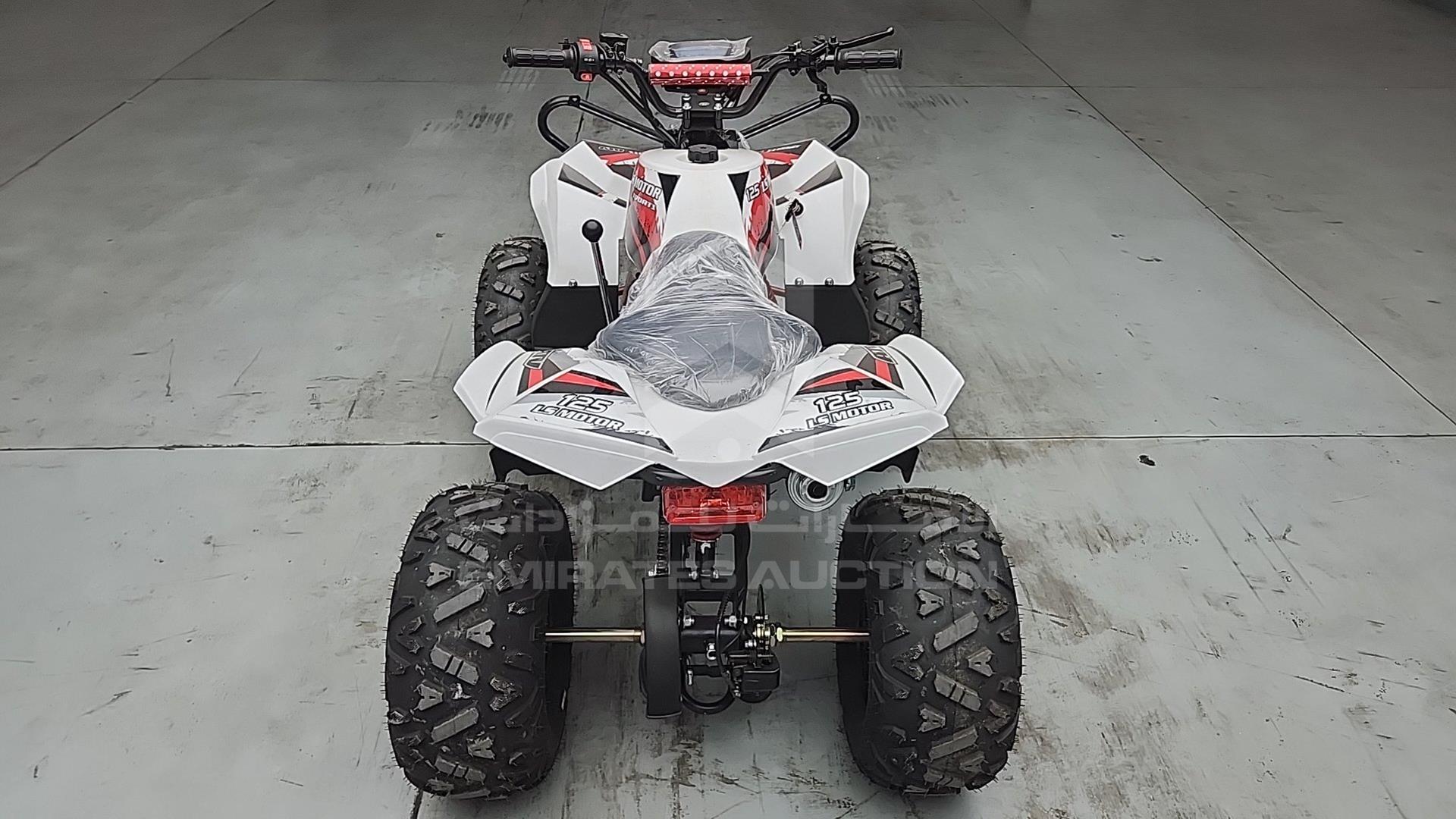 2025 ATV --- VIN: LSA708R2024100075